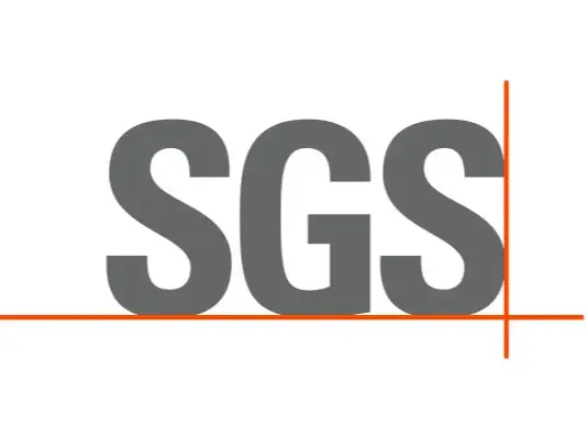 6.SGS_